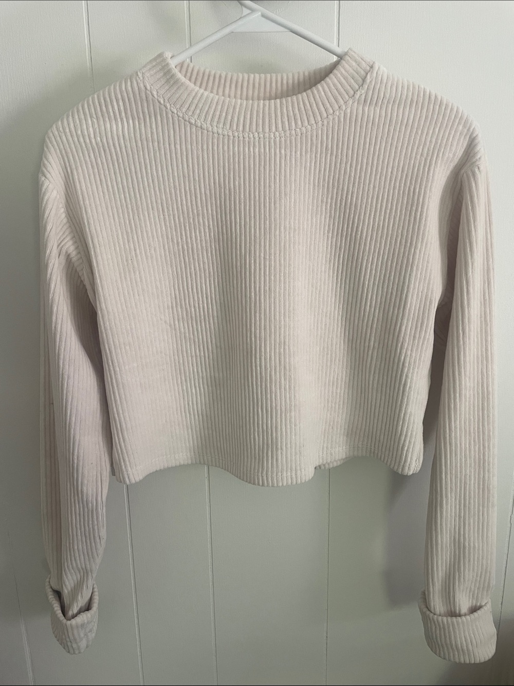 Altar'd State Ivory Ribbed Cropped Knit Top